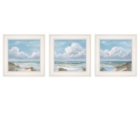 Trendy Decor 4U "Beautiful Day I,II, III" Framed Wall Art, Modern Home Decor 3 Piece Vignette for Living Room, Bedroom & Farmhouse Wall Decoration by