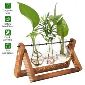 mothers day gifts-Desktop Glass Planter Bulb Plant Terrarium with Wooden Stand